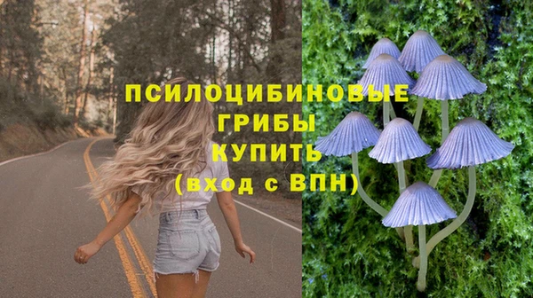 бошки Волоколамск