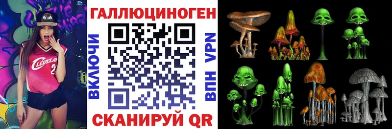 наркота Карачев Галлюциногенные грибы мицелий